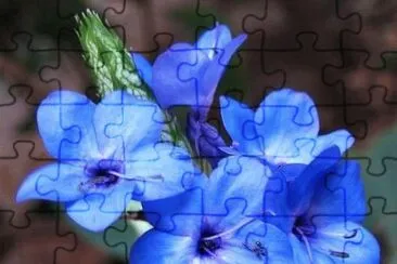 imagens jigsaw puzzle