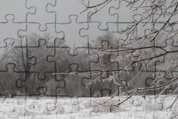 Across the field jigsaw puzzle