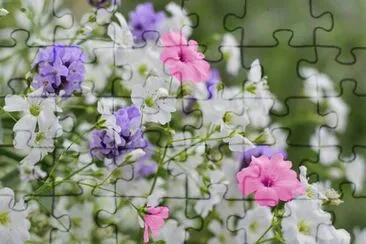 imagens jigsaw puzzle