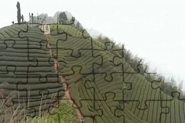014 jigsaw puzzle