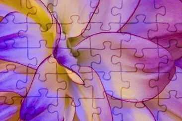 Purple Dream jigsaw puzzle