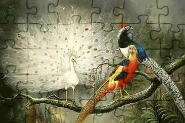 imagenes