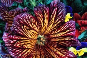 Exquisite Trumpet Flower jigsaw puzzle