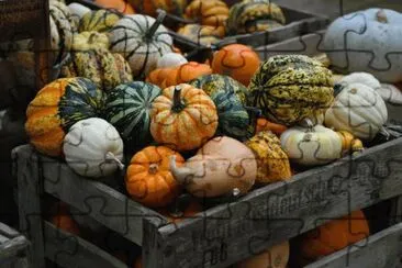 calabazas jigsaw puzzle