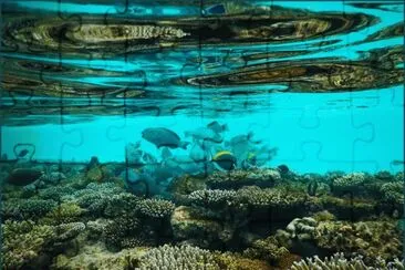 bajo el mar jigsaw puzzle
