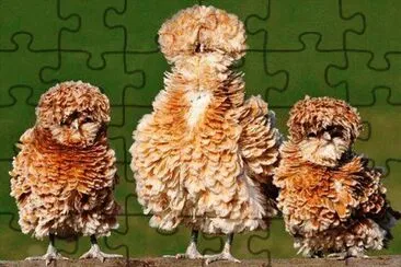 mom#203 jigsaw puzzle