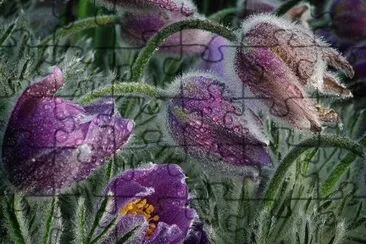 imagens jigsaw puzzle