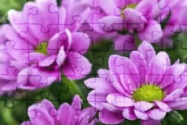 imagens jigsaw puzzle