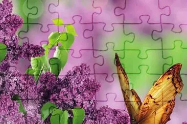 imagens jigsaw puzzle
