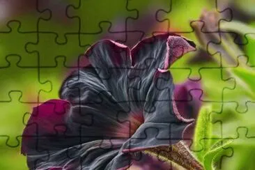 imagens jigsaw puzzle