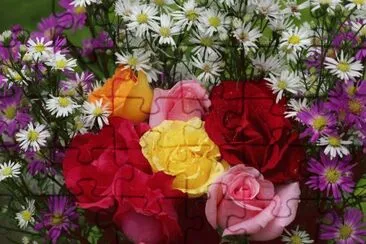 flores jigsaw puzzle