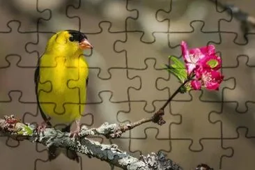 010 jigsaw puzzle
