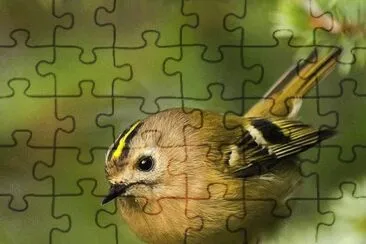 011 jigsaw puzzle