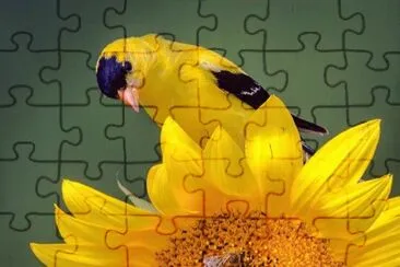 012 jigsaw puzzle