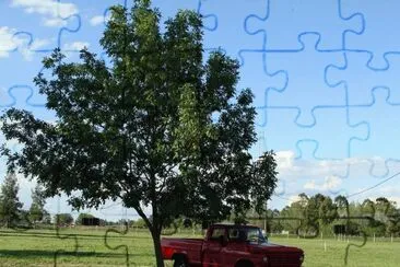 En el campo entrerriano. Argentina
