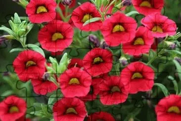 imagens jigsaw puzzle