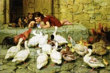 aves