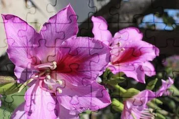 imagens jigsaw puzzle