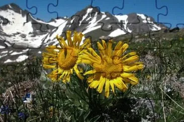 imagens jigsaw puzzle