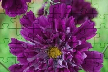 imagens jigsaw puzzle