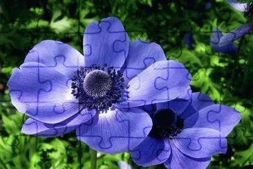 imagens jigsaw puzzle