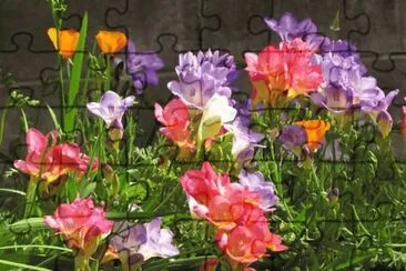 imagens jigsaw puzzle