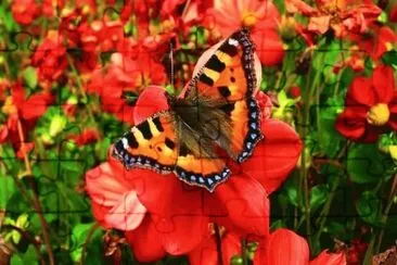 imagens jigsaw puzzle