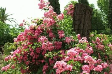 imagens jigsaw puzzle