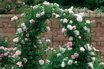 rosales jigsaw puzzle
