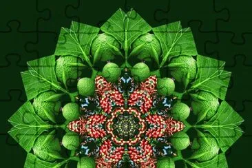 פאזל של mandala