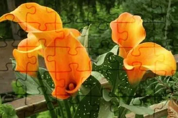 imagens jigsaw puzzle