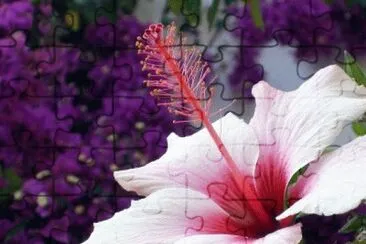 flor
