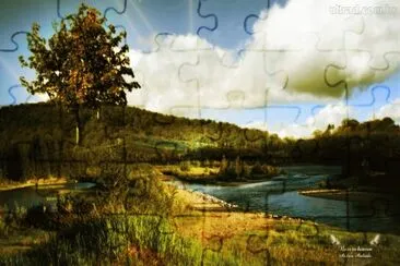  jigsaw puzzle