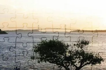 vzla jigsaw puzzle