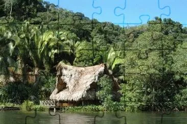vzla