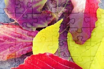 142 jigsaw puzzle