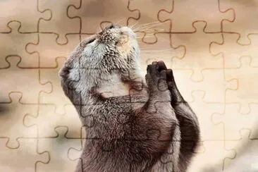 imagens jigsaw puzzle