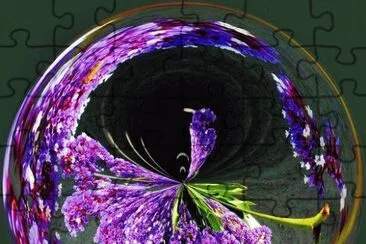 imagens