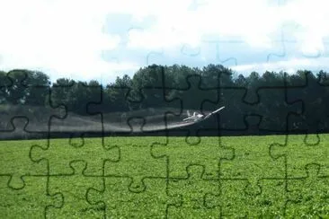 fumigaciÃ³n jigsaw puzzle
