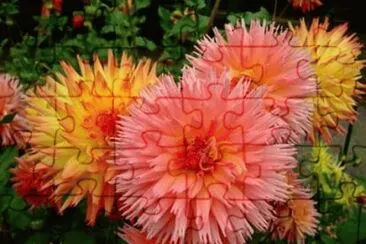 imagens jigsaw puzzle