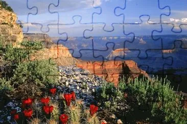 NATUREZA jigsaw puzzle