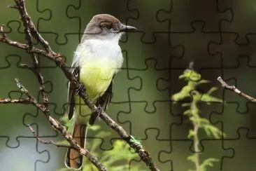 burlisto jigsaw puzzle
