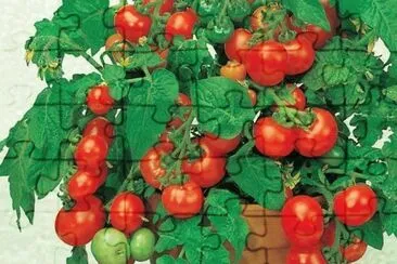 imagens jigsaw puzzle