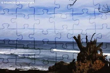 vzla jigsaw puzzle