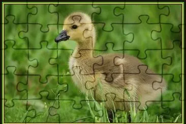 gansito jigsaw puzzle