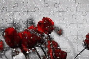 imagens jigsaw puzzle