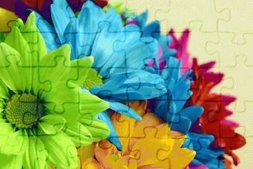 Colors jigsaw puzzle