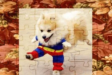 ×›×œ×‘7 jigsaw puzzle