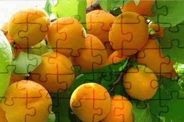 imagens jigsaw puzzle