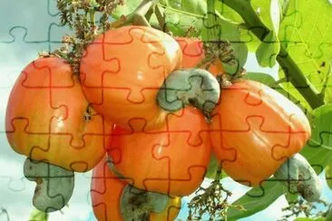 imagens jigsaw puzzle